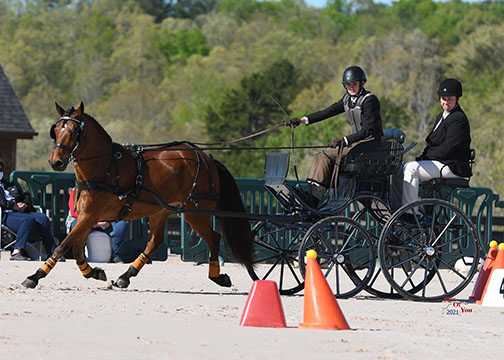 Riley Wiltison and Willow's Aslan, USEF Intermediate Single Pony Combined Driving National Champions (Picsofyou.com)