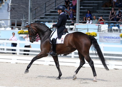 Cesar Parra aboard Belle Ami Highest Scoring FEI with a 73.575% at Dressage at Devon (Photo credit: Conklin Photography)