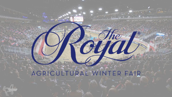 The Royal Horse Show