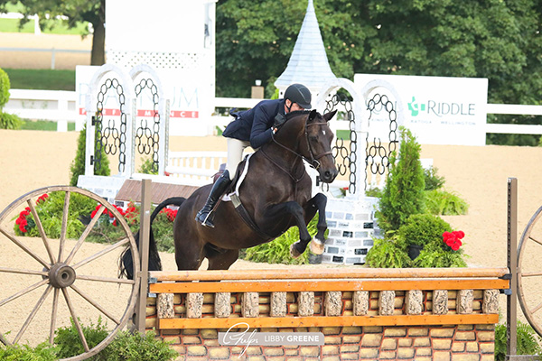 Scott Stewart and Fine Art