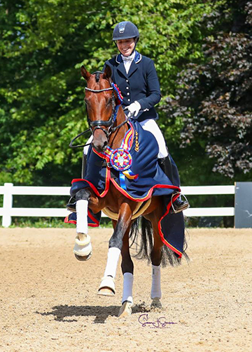 Sonnenger's Kain with Michele Bondy 2019 Markel/USEF National Young Horse Champion