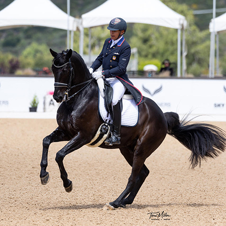 Steffen Peters and El Torro (Photo: Terri Miller)