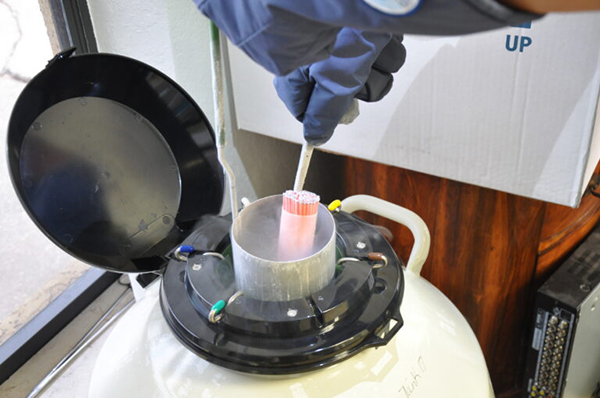 Palm Beach Equine Clinic