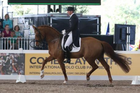 Patrik Kittel and Watermill Scandil H B C take the win in the Grand Prix  photo: Susan J Stickle
