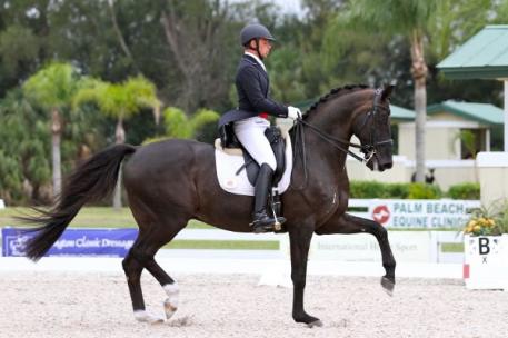 David Marcus and Don Kontes at the 2013 Palm Beach Dressage Derby CDI-W (Photo: Susan J Stickle)