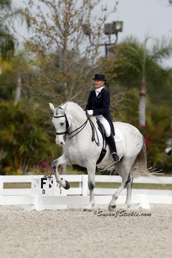 Janne Rumbough and Junior in their first CDI Grand Prix (Photo: Susan J Stickle)
