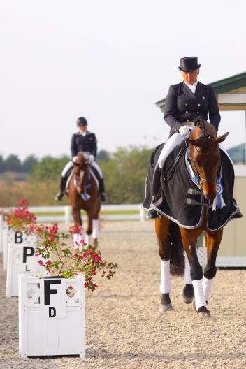 Victory Gallop (Photo: Mary Adelaide Brakenridge)