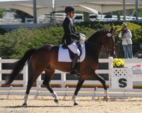 Allen Swafford and Fiderstep HW in the Markel/USEF Young Rider 5-Year-Old Qualifier (Photo: Sue Weakley)