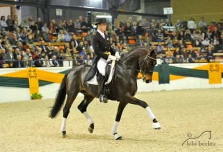Herzensdieb, owned by Leatherdale Farms ridden by Steffen Frahm. (Photo: Kiki Beelitz)