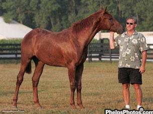 Howard nelson with one of his yearlings