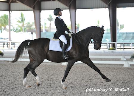 Elizabeth Traband and Ucari at the 2014 Adequan Global Dressage Festival CPEDI3*. Photo by Lindsay McCall