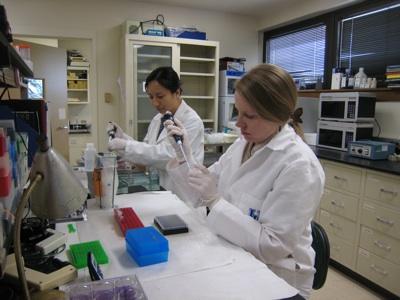 Gluck researchers