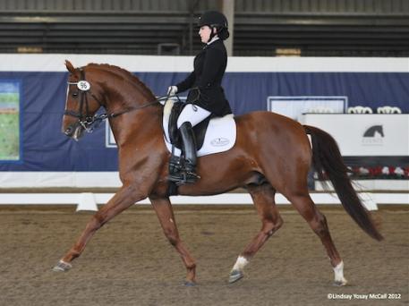 Holly Bergay and Rubino Bellissimo at the 2012 Rancho Valencia Dressage Festival CPEDI3*. Photo by Lindsay McCall