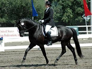 Louise Koch and San Shivago Capture FEI Five-Year-Old Title, 2009.