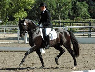 Merrie Velden and Sandomere FEI Six-Year-Old Champions, 2009.