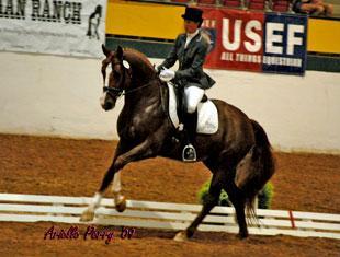 CDI-W in Raleigh, 2009