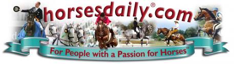 HorsesDaily.com logo, 2009.