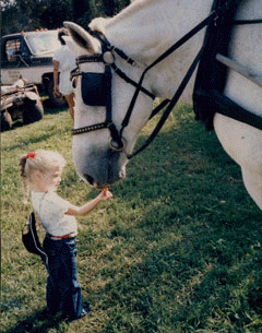 Mary Haskins Gray with "Dan" and then in 2003 winning the Gold Medal at the NAYRC