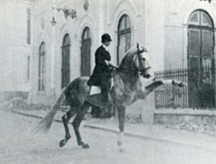 Arthur Konyot