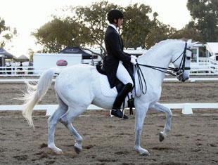David Blake and Catapult at the Dressage Affaire2011 in Del Mar, California.