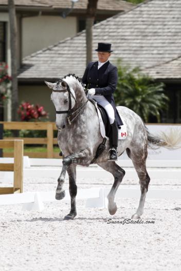 Evi Strasser and Renaissance Tyme at the Global Dressage Festival (Photo: SusanJStickle.com)