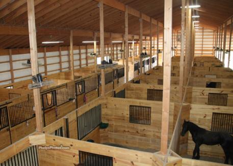 View from the upstairs lounge overlooking the 40 stall barn.