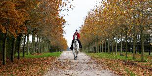Amy Graham does not have to travel far to the Alltech/FEI World Equestrian Games in Normandy. Join us at the Haras Du Ry for a peaceful location as a base for the exciting WEG this year.