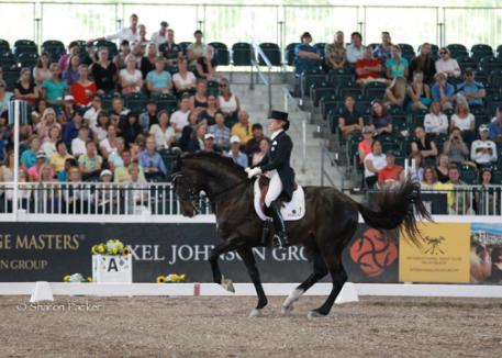 Tina Konyot and Calecto V during the Grand Prix at The World Dressage Masters Palm Beach 2013. Photo sharonpacker.com