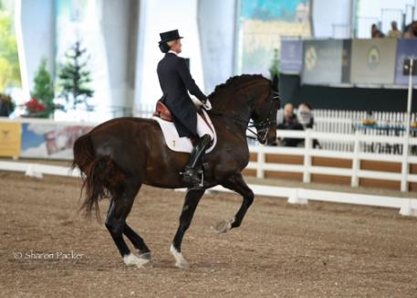 Tina Konyot and Calecto V during the Grand Prix at The World Dressage Masters Palm Beach 2013. Photo sharonpacker.com