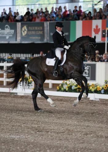 Tina Konyot and Calecto V during the Grand Prix at The World Dressage Masters Palm Beach 2013. Photo sharonpacker.com