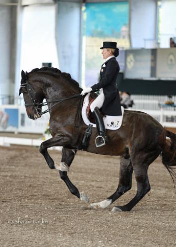 Tina Konyot and Calecto V during the Grand Prix at The World Dressage Masters Palm Beach 2013. Photo sharonpacker.com