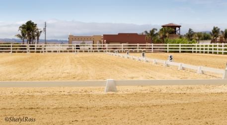 Quality footing at the Gilroy Gaits Equestrian, great views, weather and stabling added to the upgrades of the SFP Chapter Dressage show  Photo: Sheryl L Ross