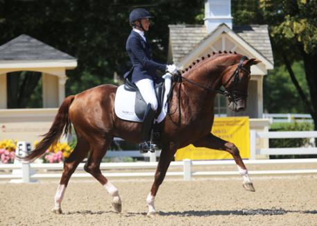 Charlotte Jorst and 6-year-old Dutch-bred and Westfalian-licensed stallion Vitalis, by Vivaldi, 2013. (Photos: Mary Phelps)