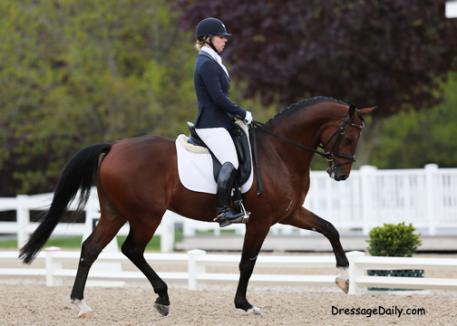 Patricia (Patti) Becker and Edward (United x Damiro) prepare for the 5 year old Markel Young Horse Finals at the Lamplight Equestrian Center, August 20-24, 2014 Photo: DressageDaily.com
