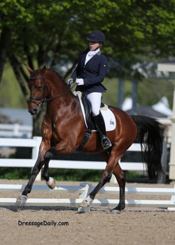 Patricia (Patti) Becker and Edward (United x Damiro) prepare for the 5 year old Markel Young Horse Finals at the Lamplight Equestrian Center, August 20-24, 2014 (Photo: DressageDaily.com)
