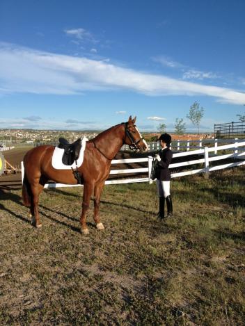 Winzig at her very first horse show!