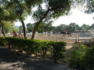 Show Arena, Annual Dressage at Flintridge show, 2011.