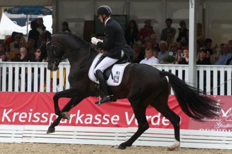 The Oldenburg stallion Sir Donnerhall II ridden by Thomas Sigtenbjerggaard