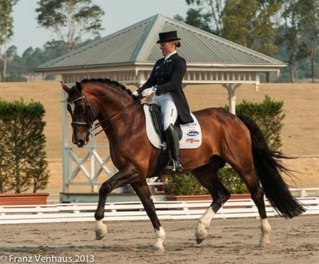 Sheridyn Ashwood and her KWPN stallion Prestige VDL (Photos: Franz Venhaus)