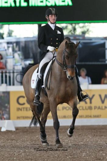 Cheryl Meisner and Tango a 13-year-old KWPN gelding (Obelisk x Pollie) photo: Susan J Stickle