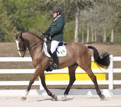 James Dwyer (IRE) and Orlando top Grade IV Individual Test rider and Team Test rider
