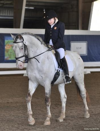 Laura Goldman (USA) and VPRH Pegasus vom Nieh-HOF (owner Patrick Truxillo)