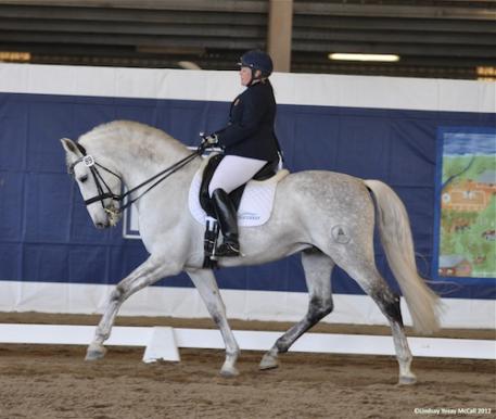 Susan Treabess (USA) and Fugitivo XII (owner Terry Waechter)