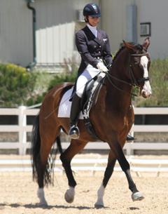 Shannon Dahmer and Rock On extend during the FEI Freestyle Test of Choice at the Colorado Horse Park's High Prairie Dressage II
