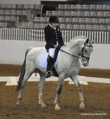 Laura Goldman partnered up with Patrick Truxillo's horse VPRH Pegasus VOM Niehaus-HOF