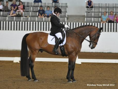 Donna Ponessa (USA) Grade Ia and Silvano