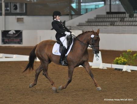 Lauren Barwick [CAN] and Off To Paris Champion High Point Rider at HDS CPEDI3* 