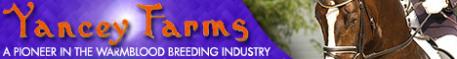 Be sure to visit Yancey-Farms.com, and check out Judy's News.