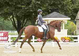 Ashlyn De Groot (Hanford, CA) and DG Bar Ranch's KWPN mare DG Dancing Queen (Jazz x Princes Lincom/Junior) earned the best score of the division, 9.0, with a polished performance. Photo: Carolyn Buch Photography