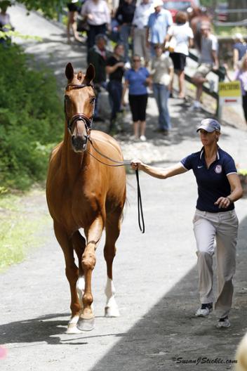 Heather Blitz and Paragon one of 15 to compete in the Grand Prix (Photo: Susan J. Stickle)